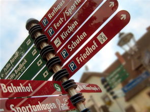 开云体育在线-高校运动队选拔机制公平性研究，高校运动队选拔机制公平性研究报告