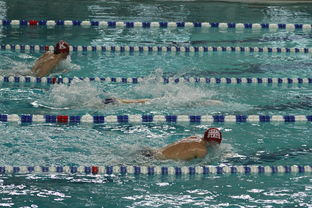 开云体育登录-中国游泳运动员世锦赛接力项目表现抢眼，中国游泳接力夺金